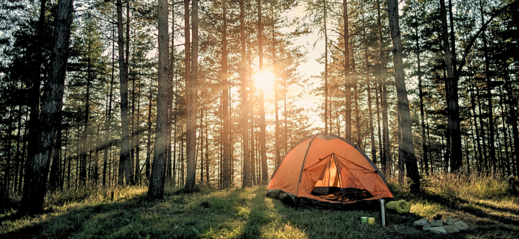 Camping Guide For Beginners: Things You Must Know Before You Go Camping