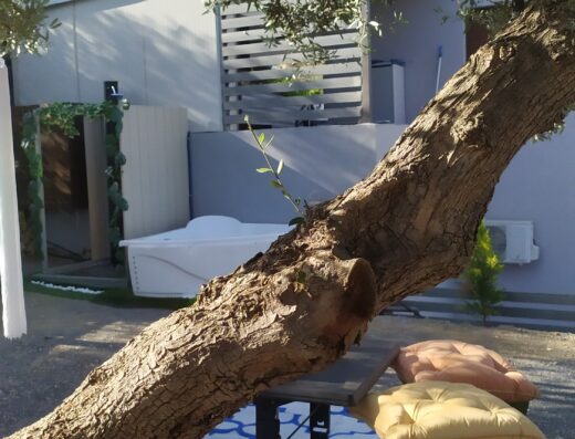 A blue and white rug.