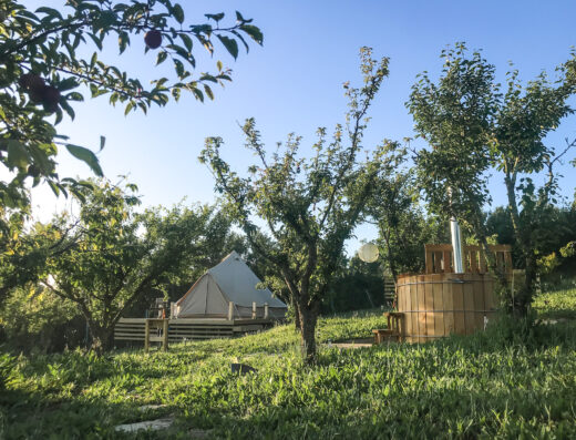 A tent in an apple orchard with a hot tub.