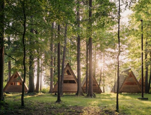 A group of wooden cabins in the woods.