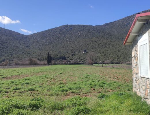 A small building in the middle of a field with mountains in the background.
