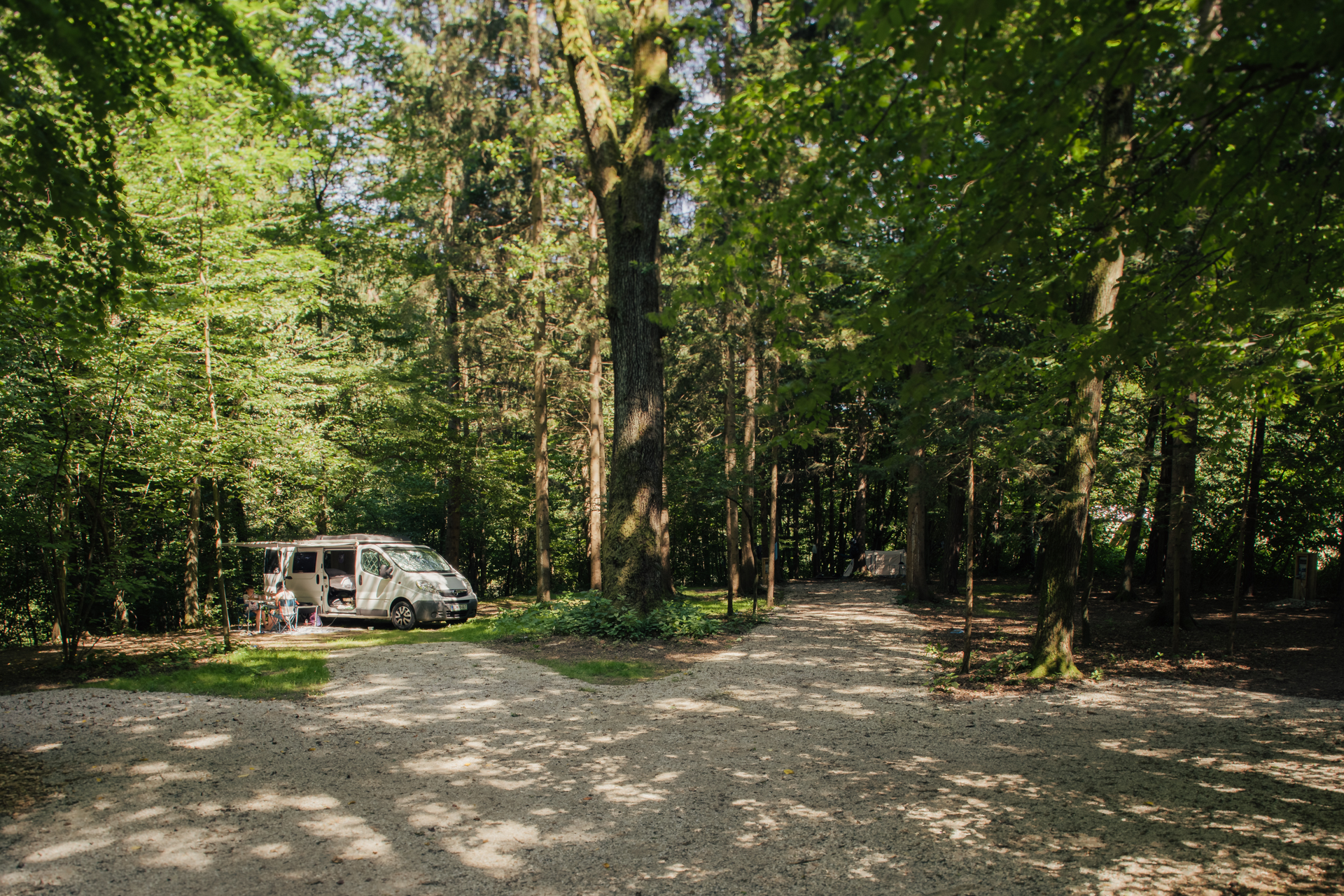 An rv parked in a wooded area.