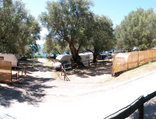 A view of a campsite with a lot of trees.