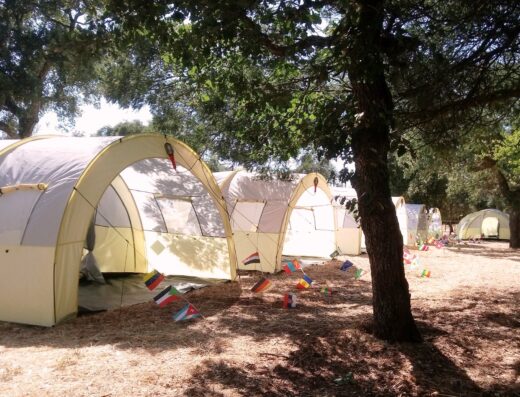 A group of tents set up in a wooded area.