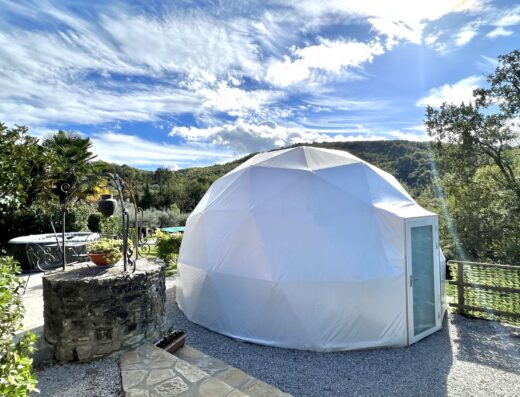 A white dome sitting in the middle of a garden.
