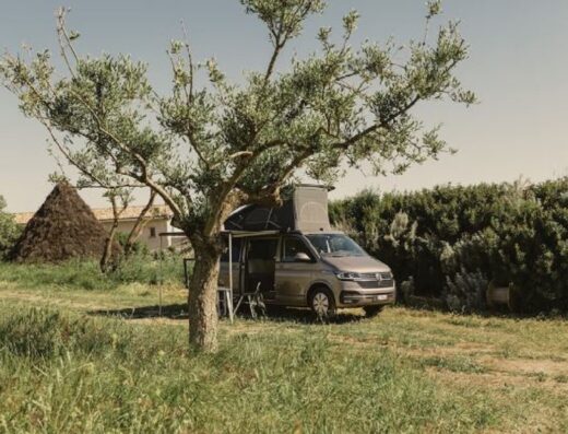A van parked next to a tree in a field.