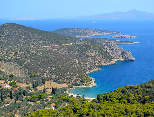 A hillside overlooking a bay and the ocean.