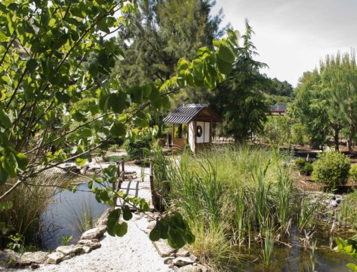 A garden with a pond and trees in the background.