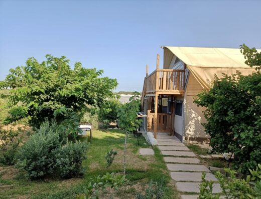 A house in the middle of a yard with trees and bushes.