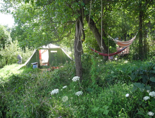A tent in a wooded area.