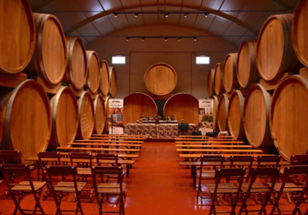 A Majestic Holiday for all the Senses in Southern Italy​ wine tasting