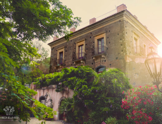 An old, ivy-covered building bathed in warm sunlight with blooming flowers in the foreground.