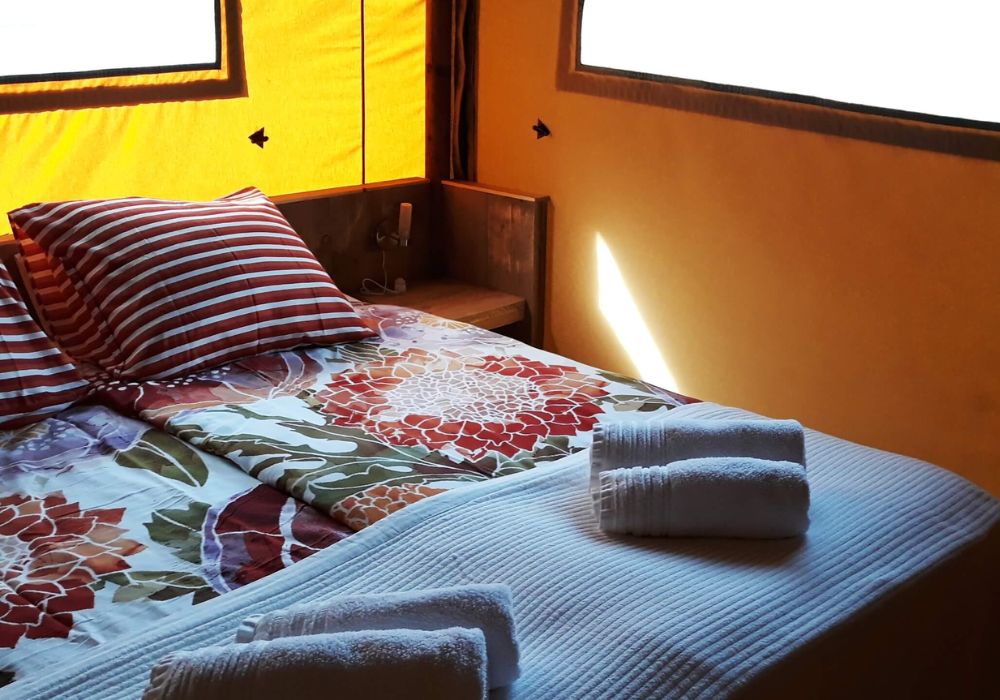 Chi Kung Session at Beautiful Glamping Site in Portugal