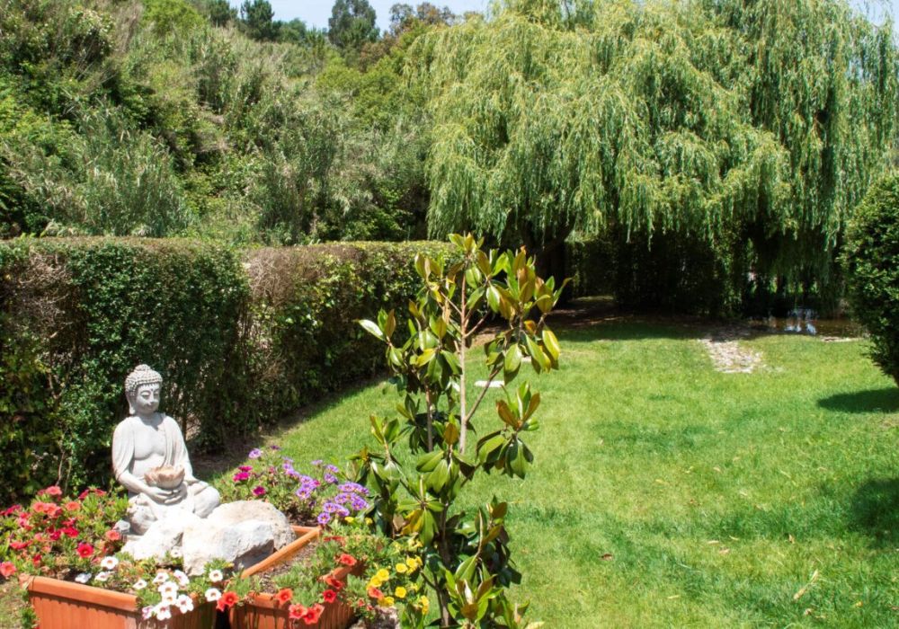 Chi Kung Session at Beautiful Glamping Site in Portugal 3