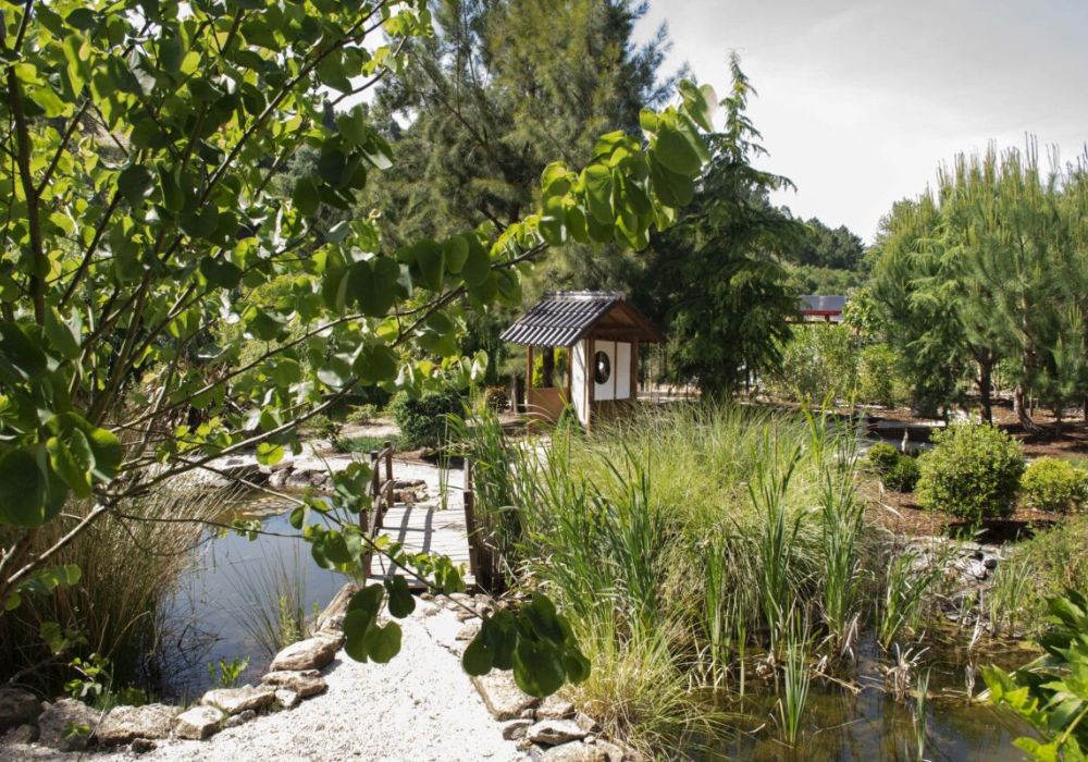 Chi Kung Session at Beautiful Glamping Site in Portugal 1