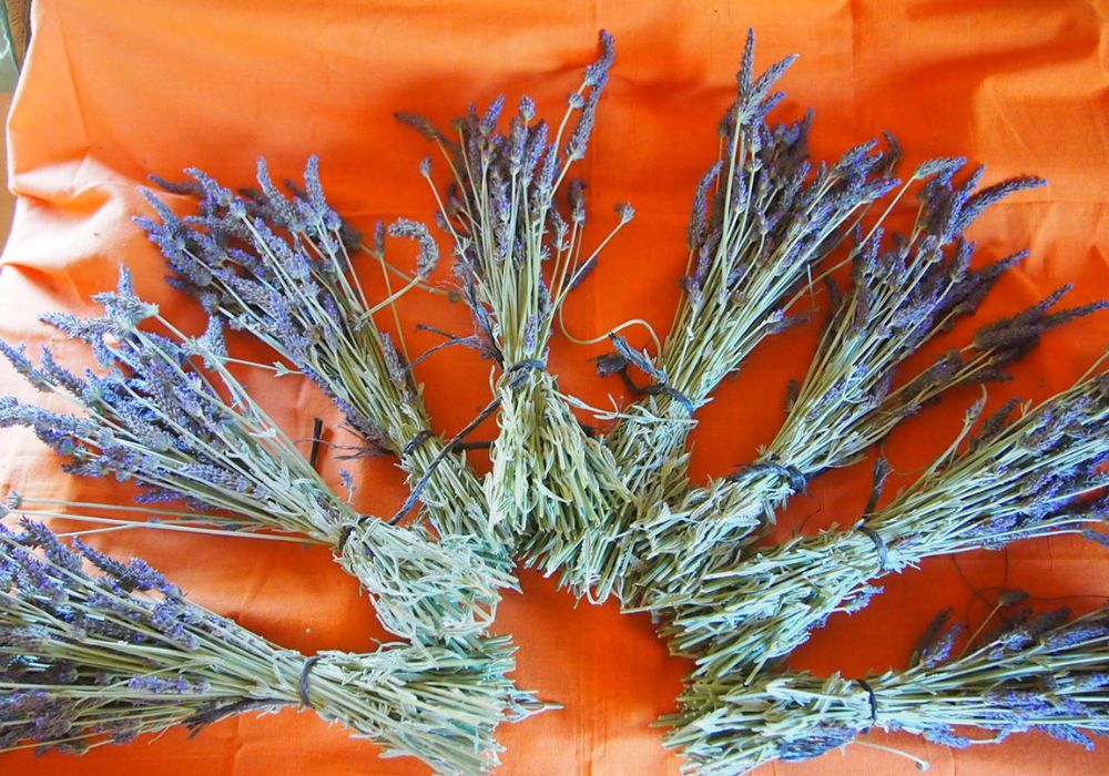 Mental & Spiritual Experiences in Laconia​ greece prices