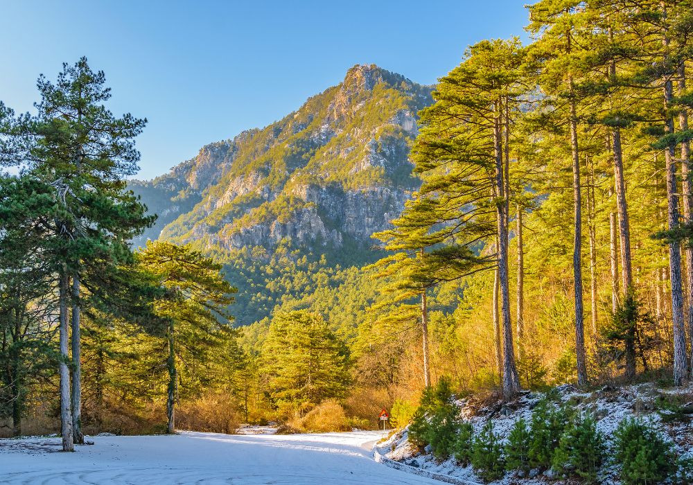 Discover South Europe's gems with a snowy path with pine trees and mountains in the background, featuring Exclusive Glamping & Adventure Travel Packages by Campsaround.