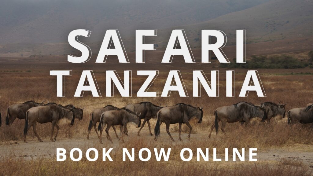 Safari Tanzania book now online for outdoor stays and camping.