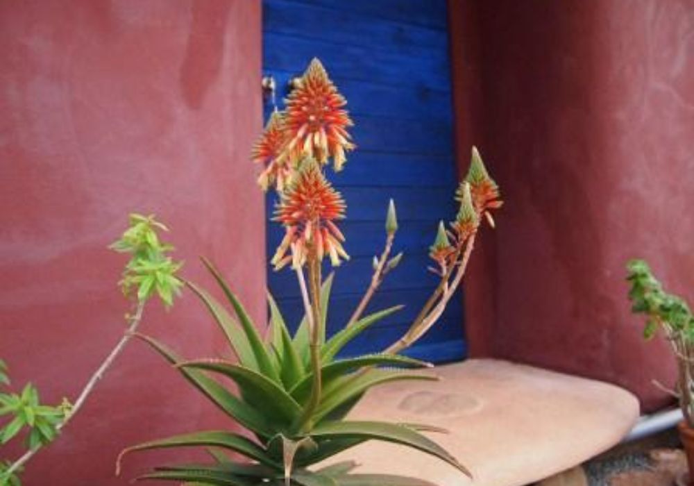 laconia mental and spiritual activities in nature book now campsaround 1