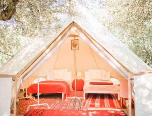 A tent in the woods with a bed and a rug.
