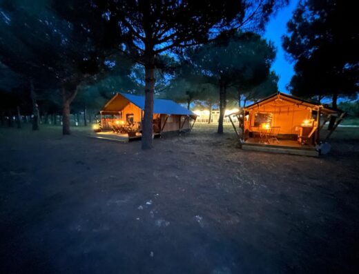 A group of houses in a forest at night.