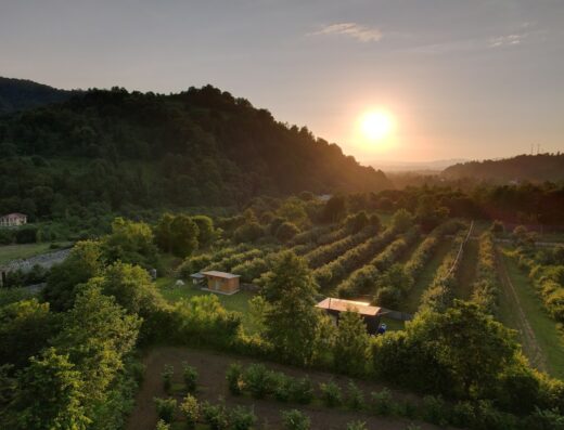 Sunset over a lush valley with orderly rows of crops, small buildings, and trees, backed by gentle hills under a clear sky.