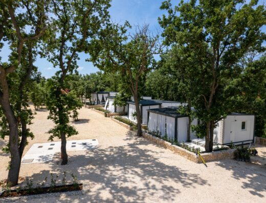 Modern modular homes nestled among trees in a sunny, landscaped setting.