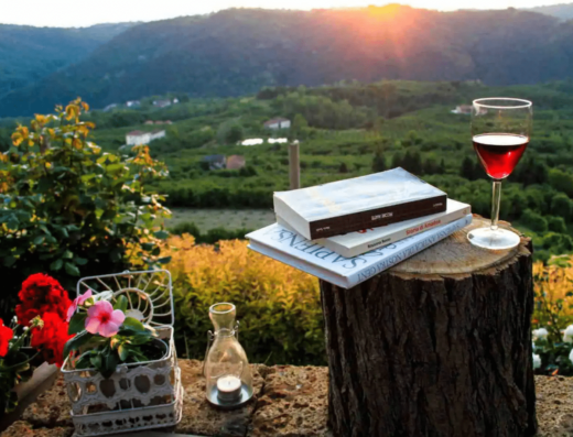 A glass of red wine, two books, a lantern, and a small flower pot sit on a tree stump table overlooking a scenic mountainous landscape at sunset.
