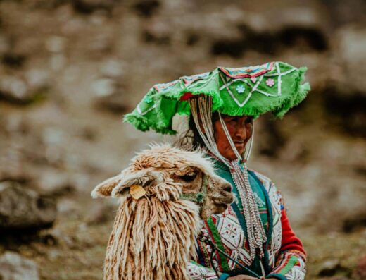 A person wearing traditional clothing stands next to a llama in a mountainous area.