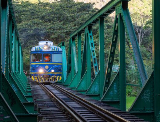 A blue train with the number 217 on its front is crossing a green metal bridge surrounded by lush greenery.