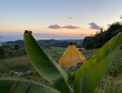 A yellow tent is set up in a grassy field with a panoramic view of hills and a coastline under a sunset sky, partially visible through large green leaves in the foreground.