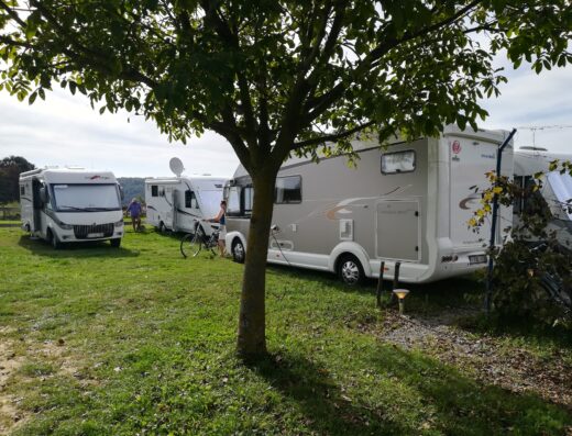 Several motorhomes and campervans parked in a grassy area with a tree in the foreground; a bicycle is leaning against one of the vehicles.