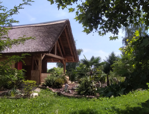 A thatched-roof wooden cabin surrounded by lush greenery and various plants, seen on a sunny day.