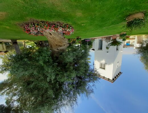 A white two-story house stands beside a large tree with flowers at its base on a lush green lawn under a clear blue sky.