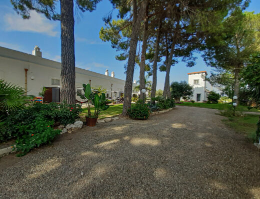 A gravel pathway lined with trees and plants leads to white buildings in the background under a blue sky.