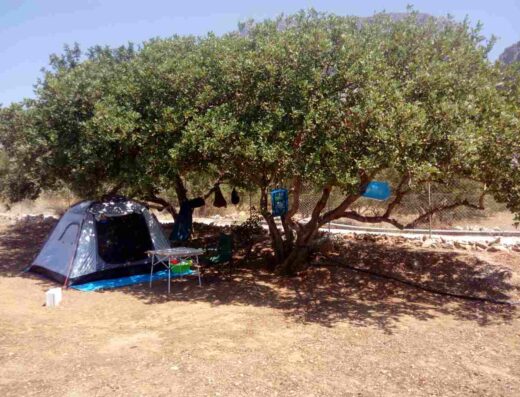 A camping setup with a tent, folding chair, and supplies is situated under a large tree, providing shade on dry, brown ground. There is a fence and hillside in the background.