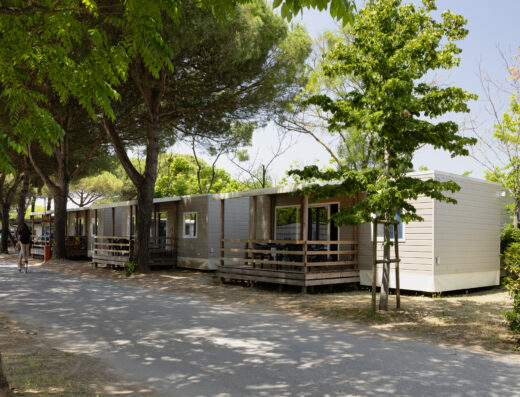 Row of modern modular cabins with wooden decks situated along a tree-lined path on a sunny day.