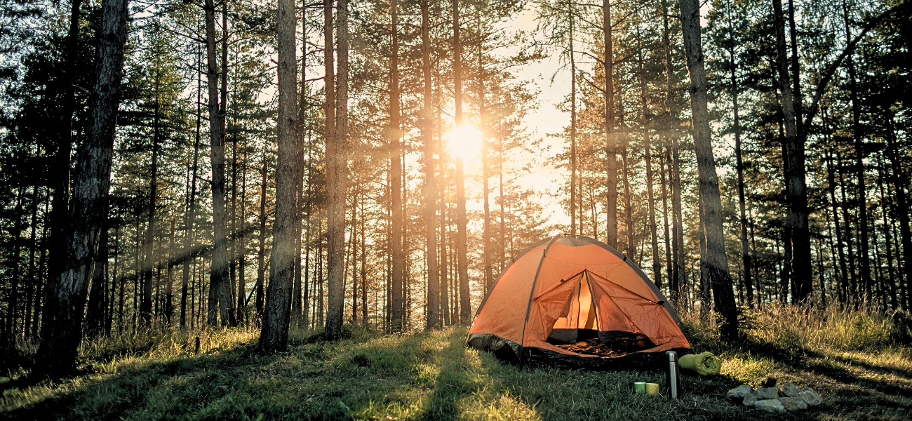 Camping Guide For Beginners: Things You Must Know Before You Go Camping