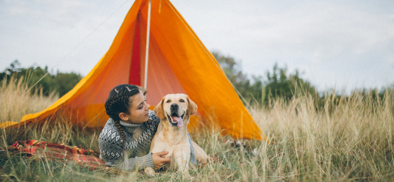 Pet Friendly Camping Sites